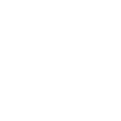 Logo Light